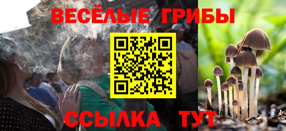 Псилоцибиновые грибы GOLDEN TEACHER  Вход с VPN  Серпухов 