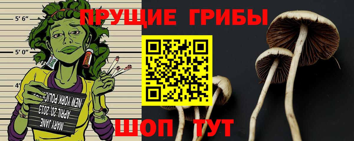 Псилоцибиновые грибы MAGIC MUSHROOMS Серпухов